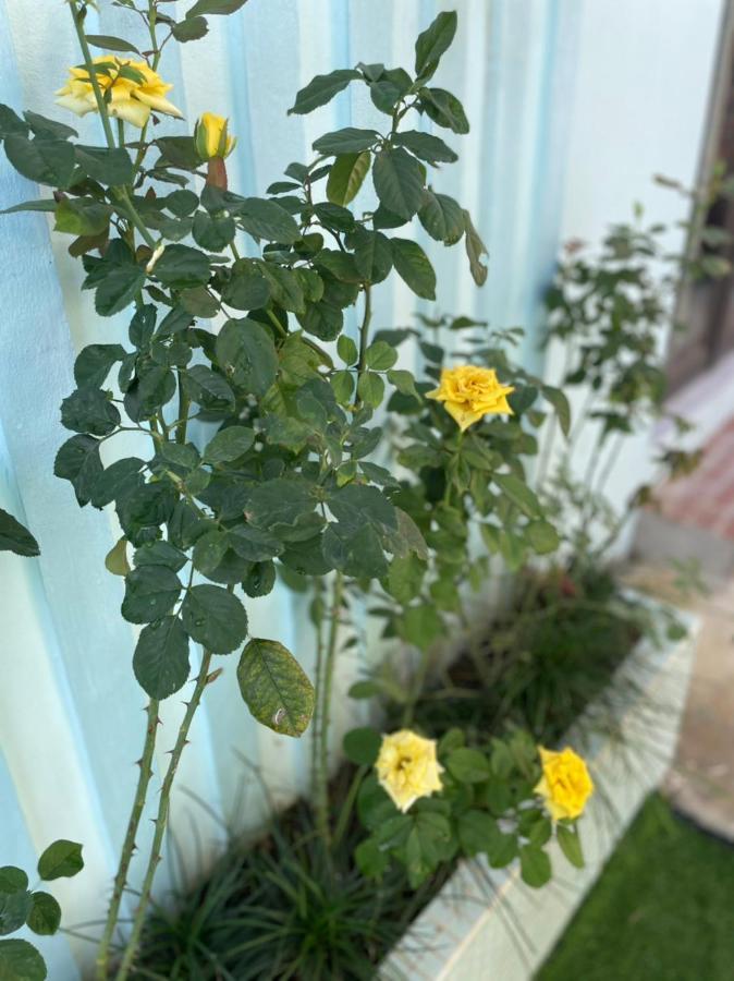 Willa An Bungalow - Mai Chau Hòa Bình Zewnętrze zdjęcie